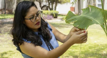 Música que se produce con plantas; este es el impactante invento de una mexicana