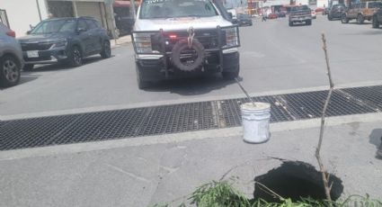 Atiende Protección Civil Nuevo León reporte de socavón en Monterrey