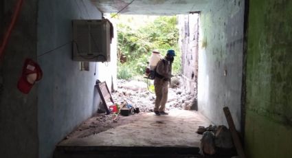 Brigada de salud actúa en la colonia Croc de Monterrey tras tormenta "Alberto"