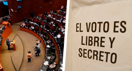 Elecciones 2024: consulta en vivo los cómputos distritales del Senado con validez oficial
