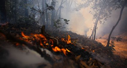 Concluye primer semana de junio con más de un centenar de incendios forestales