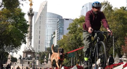 Tendrá modificaciones Paseo 'Muévete en Bici' por Medio Maratón de la CDMX