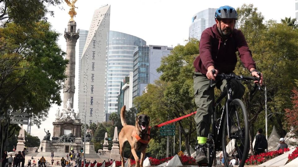 La SEMOVI dará mayor información sobre el “MuéveteenBici” en sus redes oficiales.