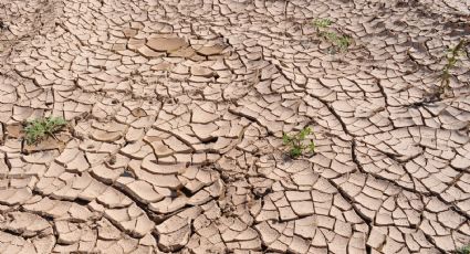 Así era la sequía en NL antes de la tormenta tropical ‘Alberto’