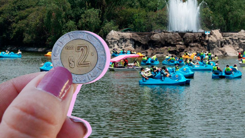 Consigue las monedas conmemorativas del Zoológico de Chapultepec.