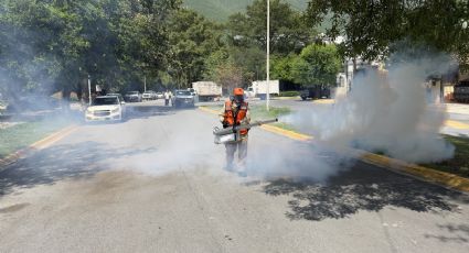 Anuncia Monterrey operativos de fumigación para prevenir dengue