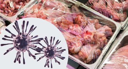 Brote de listeria por carne embutida deja un saldo de tres muertos; ¿hay alerta en México?