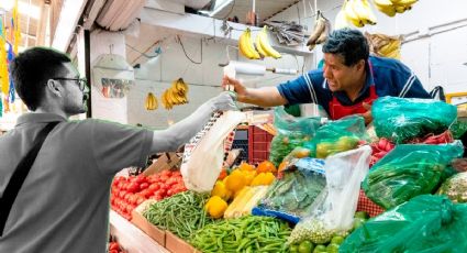 Canasta alimentaria Edomex 2024: conoce la fecha de entrega del apoyo a nuevas beneficiarias