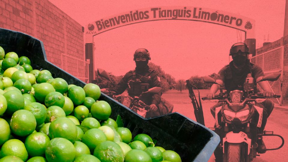 Los limoneros detuvieron la producción en dos municipios.