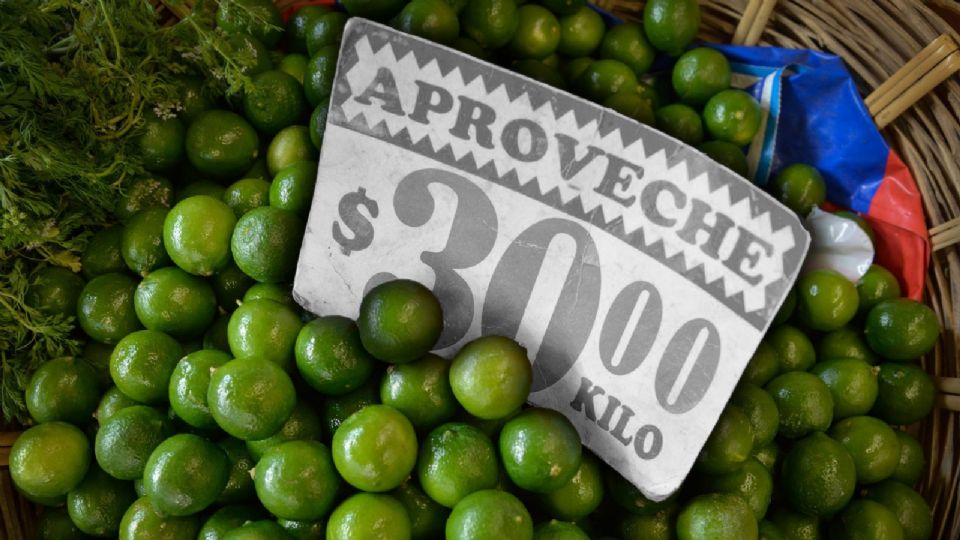 Limoneros en Michoacán detienen producción por extorsiones.