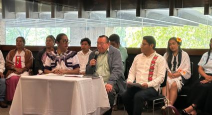 Pueblos originarios convocan a Asamblea Nacional para aprobación de iniciativa indígena