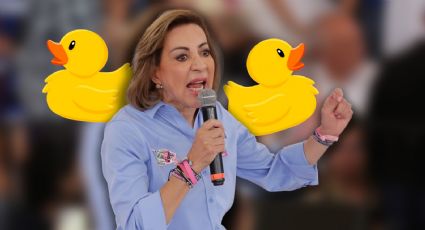 ¿Paco o Pato? Líder del PAN en el Senado hace analogía y confunde en redes sociales | VIDEO