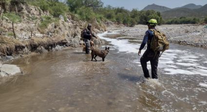 Localizan cuerpo de persona desaparecida tras búsqueda en Ramos Arizpe