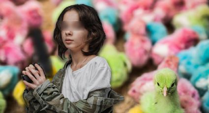 'Pollitos de colores': la cruel metáfora del narco para niños reclutados en México