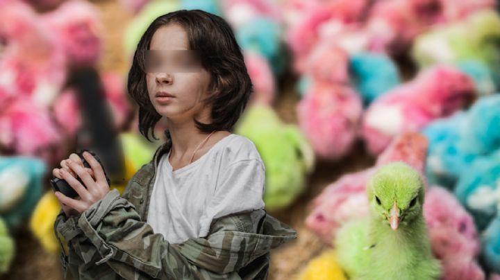 'Pollitos de colores': la cruel metáfora del narco para niños reclutados en México