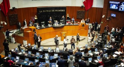Senado avala reforma para que usuarios de plataformas digitales puedan cancelar de manera inmediata