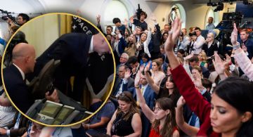 Ejecutivo de farmacéutica se desmaya en el Despacho Oval durante rueda de prensa de Trump