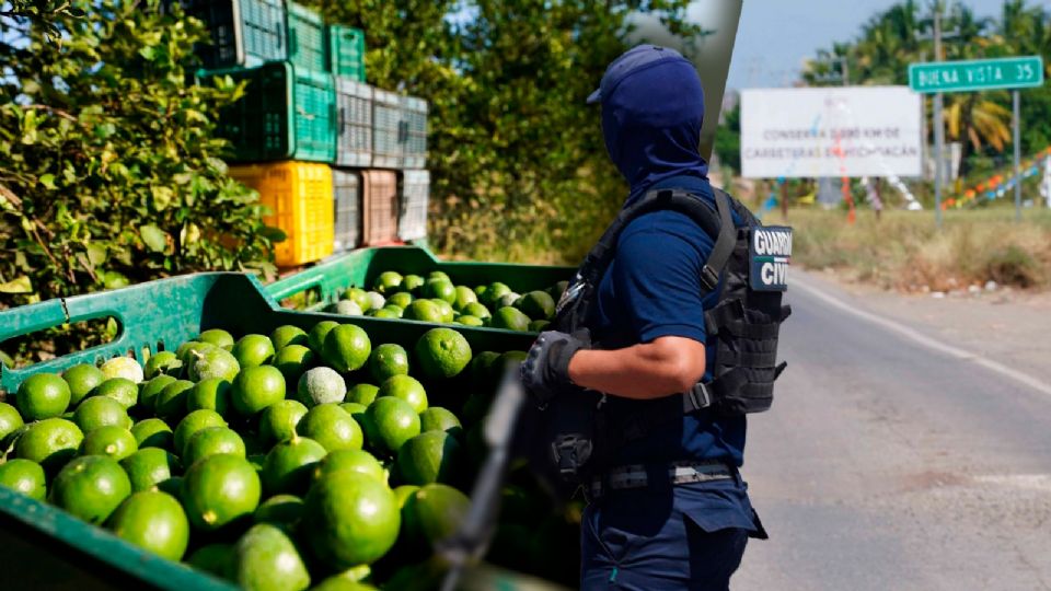 Desde el 2021, el Centro Nacional de Inteligencia ha documentado un total de 81 tarjetas informativas que desnudan el modus operandi de estos grupos delictivos.