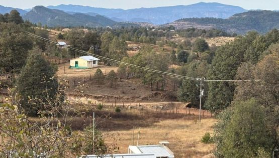 CFE desarrolla proyectos de electrificación en la Sierra Madre Occidental