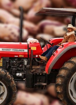 Campesinos logran acuerdo con el Gobierno de México para crear reserva estratégica de alimentos