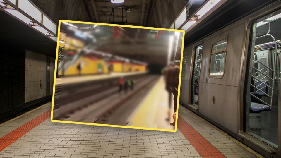 Perro y gato provocan suspensión del servicio en el Metro de Quito.