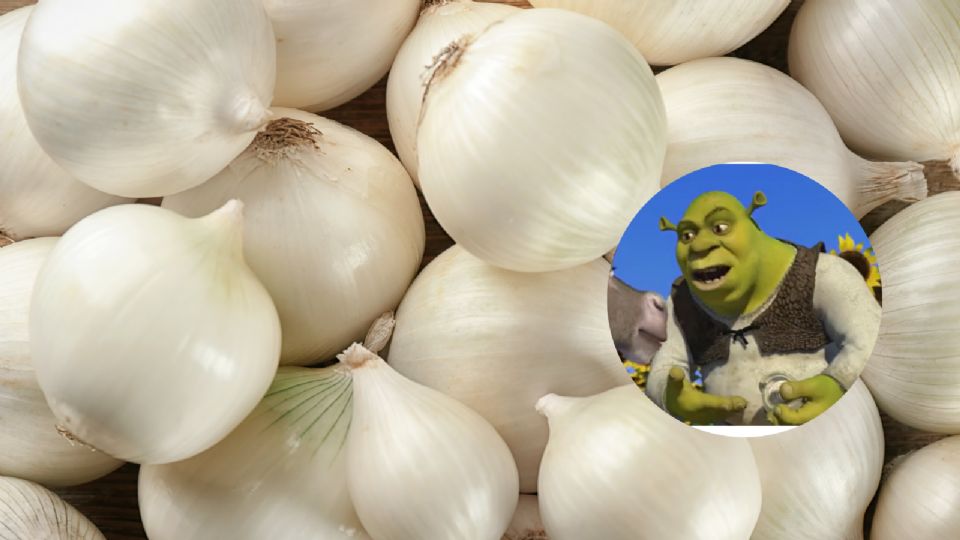 ¿Qué le pasa a tu cuerpo si comes cebolla todos los días?