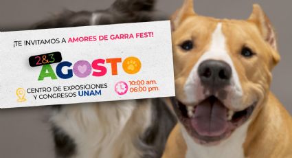 'Amores de Garra Fest 2025, evento educativo y de entretenimiento': Dominique Peralta