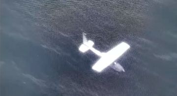 Aseguran aeronave y más de 500 kilos de cocaína en Oaxaca