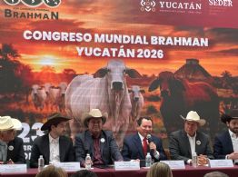 Yucatán será sede del XXII Congreso Mundial Brahmán 2026