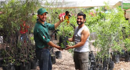 ¿Quieres un árbol? Gobierno de Nuevo León entregará ejemplares gratis; te decimos dónde