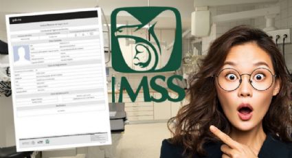 Tarjetón Digital del IMSS 2026: ¿Quiénes deben tramitarlo y cómo evitar filas si eres pensionado?