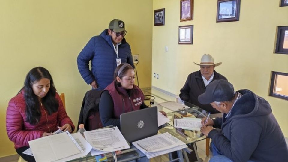 Productores acuden a ventanillas de Agricultura para recibir el incentivo al maíz blanco del ciclo Primavera–Verano 2025.