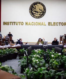 Reforma electoral: la democracia según convenga