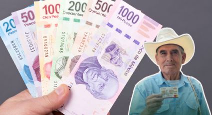 Pensión del Bienestar en NL: ¿Quiénes cobran HOY miércoles 11 de marzo y cuánto recibirán?