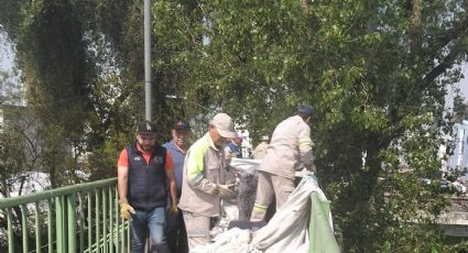 Desmantelan campamento desde el cual apedreaban vehículos sobre circuito interior