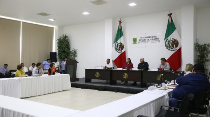 Avanza reforma para proteger a niñas, niños y familias frente al incumplimiento de pensiones