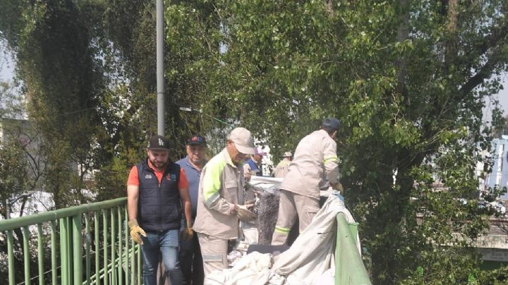 Desmantelan campamento desde el cual apedreaban vehículos sobre circuito interior