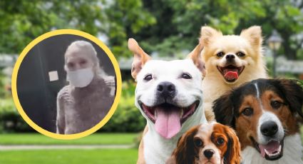 Caso Abuela Mataperros: quién es y por qué quedó libre tras la muerte de Moni en Coyoacán