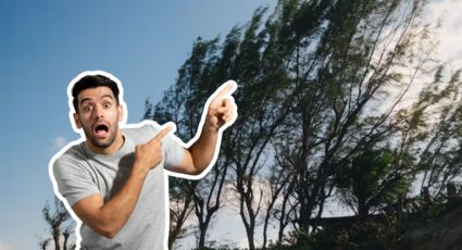 Alertan por tolvaneras y polvo en Monterrey ante fuertes vientos por frente frío 40