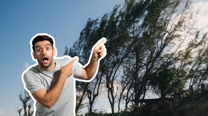 Alertan por tolvaneras y polvo en Monterrey ante fuertes vientos por frente frío 40