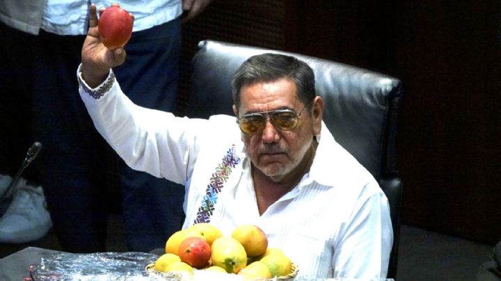 Félix Salgado advierte 'muro de la traición' para quienes voten contra la reforma electoral