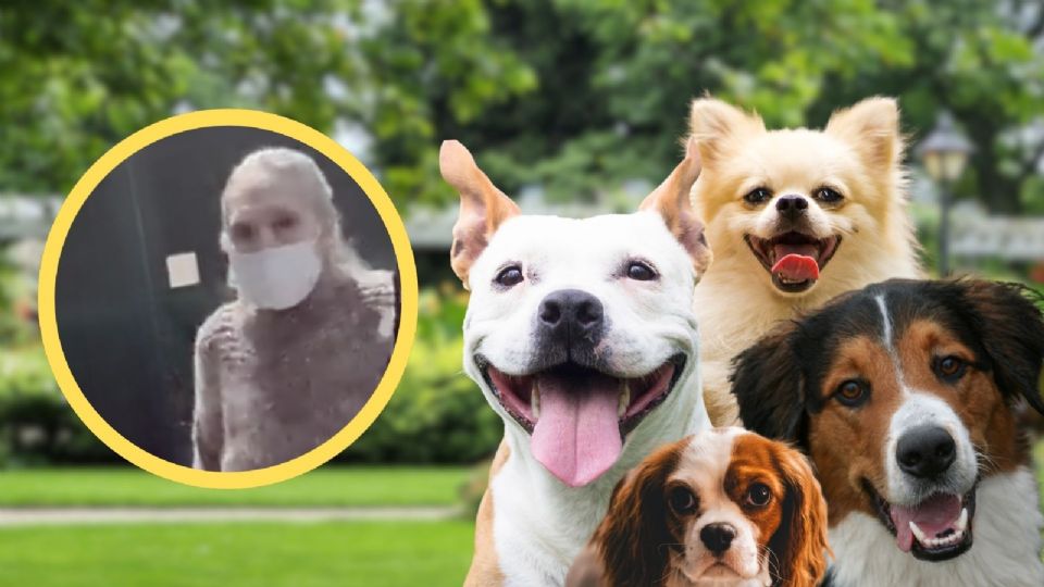 Flor 'N' habría maltratado y ejecutado a decenas de animales durante más de 20 años.