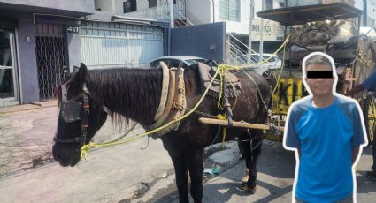 Arrestan a hombre por golpear a caballo en Residencial Lincoln de Monterrey