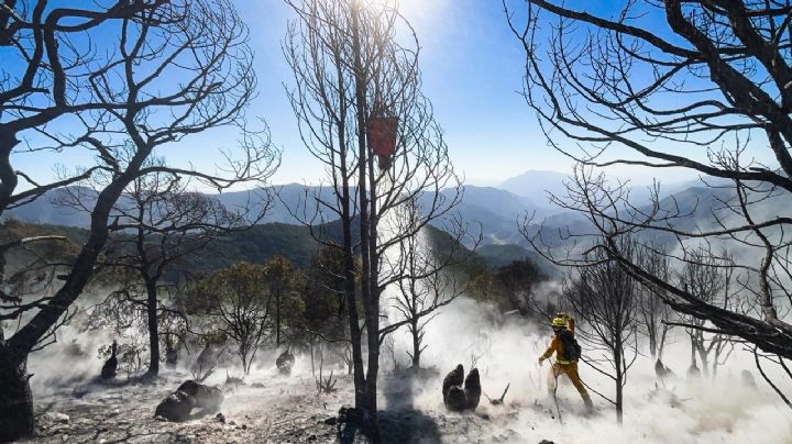 Incendio forestal en Galeana queda bajo control tras varios días de combate