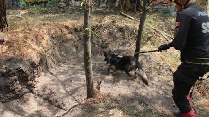 Localizan restos óseos en Barrancas de Álvaro Obregón posiblemente relacionadas con un panteón