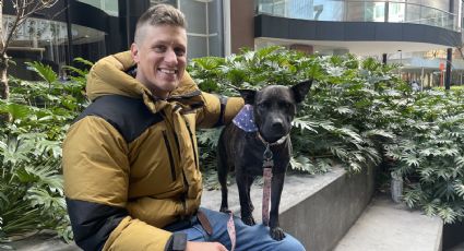 Hombre crea vacuna para su perro usando inteligencia artificial