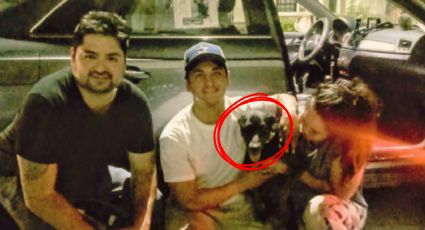 Periodista Erick Solheim Rocha encuentra a su perro Zack tras intensa búsqueda en Monterrey