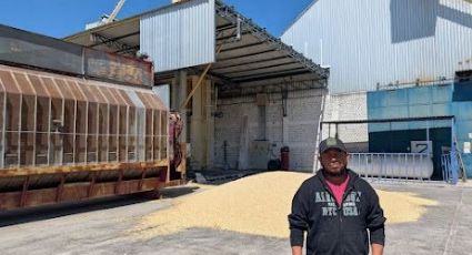 Dispersa SADER más de mil 151 mdp para incentivo al maíz blanco del ciclo Primavera-Verano 2025