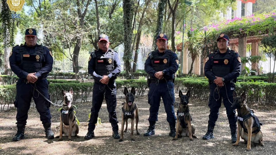 Incorporan nuevos binomios caninos especializados en eventos masivos.