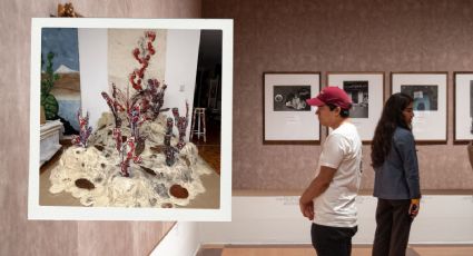 “Materia Viva”: nueva exposición en MARCO que explora el arte como organismo en transformación